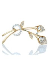 亞馬遜胸針 點(diǎn)綴時(shí)尚的微型藝術(shù)品