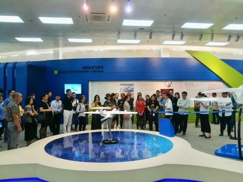 悠游金灣丨打造服務品牌,樹立行業標桿